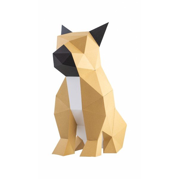 Kreativni set Papertime Bulldog-image-2