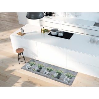 Univerzalni gazni sloj Sprint Camomilla, 52 x 200 cm