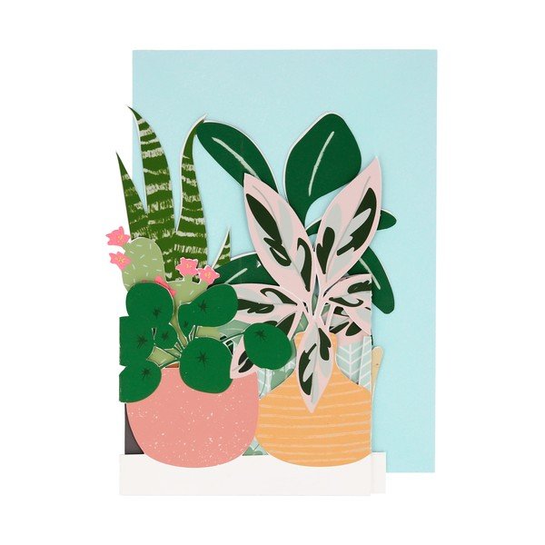 Čestitka Potted Plant – Meri Meri-image-1