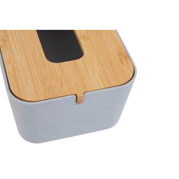 Plastična kutija za maramice Canyon – Premier Housewares-image-1