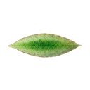 Pladanj od kamenine 6x18 cm Riviera – Costa Nova