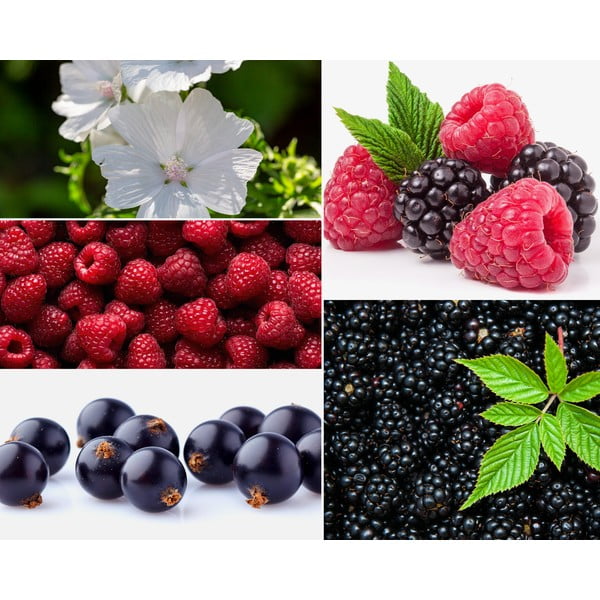 Mirisna svijeća od sojinog voska vrijeme gorenja 35 h Mûre-Musc – Privé Home-image-2