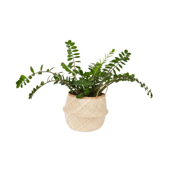 Svijetla košara za pohranu od morske trave Compactor Zic Zac, ⌀ 45 cm-image-1