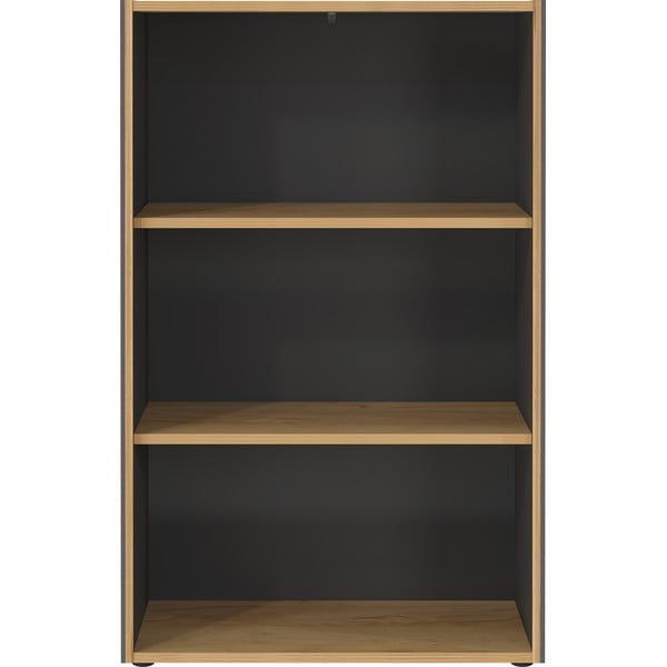 Antracitno siva/u prirodnoj boji biblioteka u dekoru hrasta 75x120x40 cm Podium – Germania