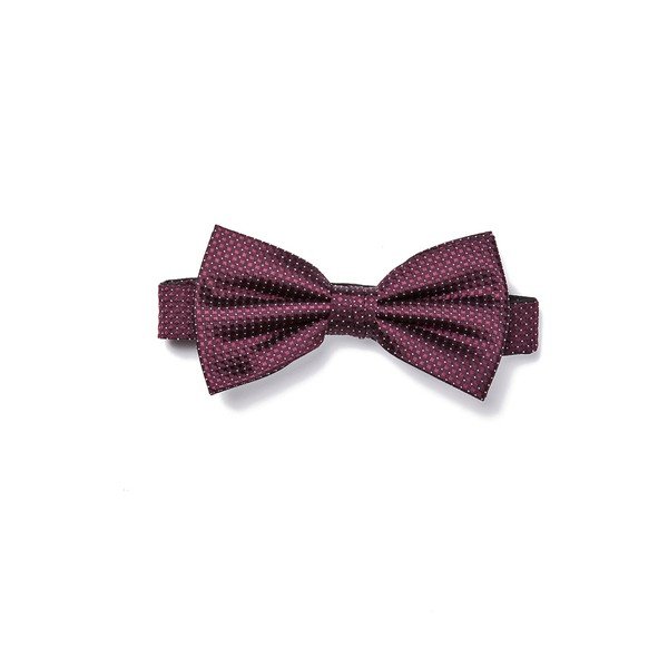 Elegantni set leptir leptir i rupčića-image-3