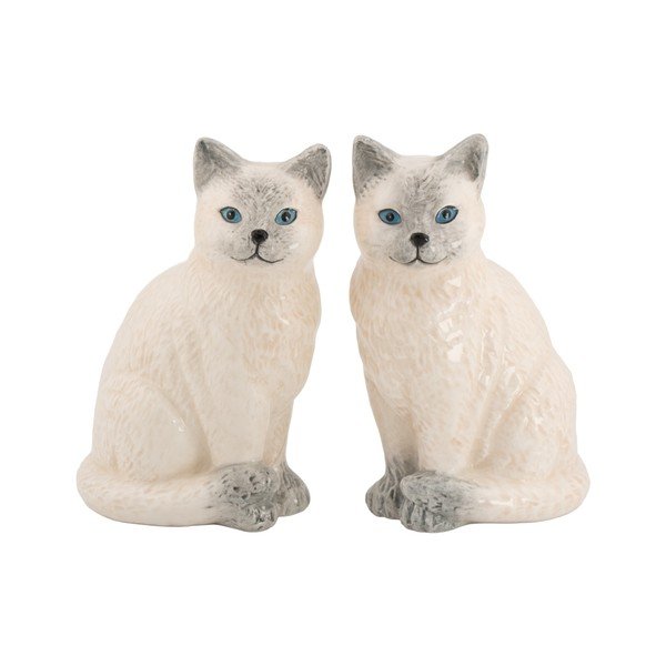 Soljenka i paprenka Ragdoll Cat – Sass & Belle