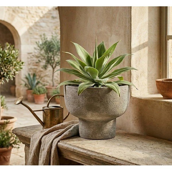 Posuda za cvijeće od terakote ø 30 cm Hector – Bizzotto-image-1