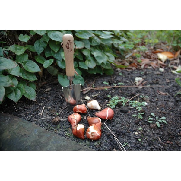 Lopata za presađivanje drveta jablana Esschert Design Pond-image-4