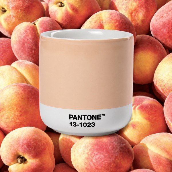 Narančasta porculanska šalica za cappuccino 175 ml Peach Fuzz 13-1023 – Pantone-image-1