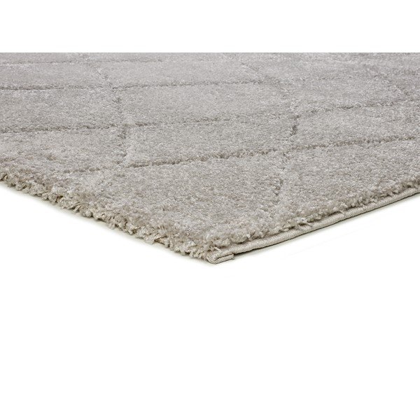 Svijetlo sivi tepih 60x120 cm Molier – Universal-image-3
