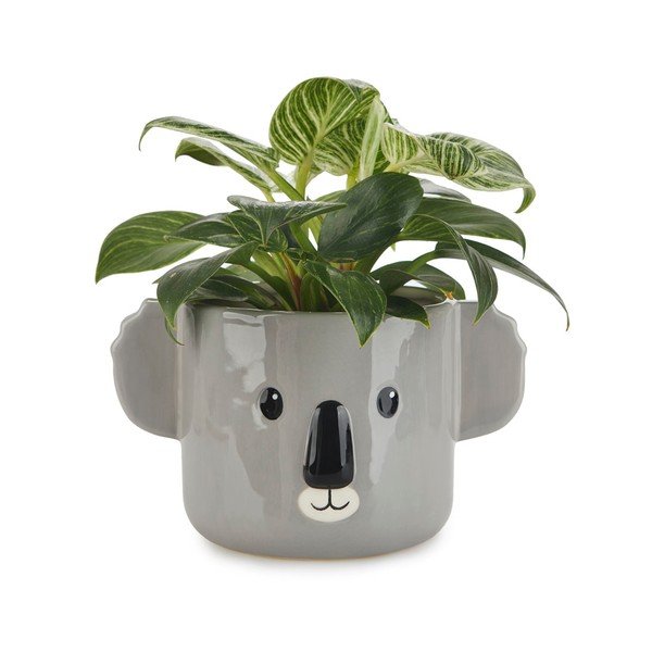 Keramička posuda za cvijeće ø 13,5 cm Koala – Balvi-image-1