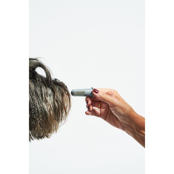 Četkice za kućne ljubimce u setu Dito – MiaCara-image-4