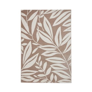 Svjetlo smeđi tepih 160x230 cm Sorral Leaves  – Catherine Lansfield