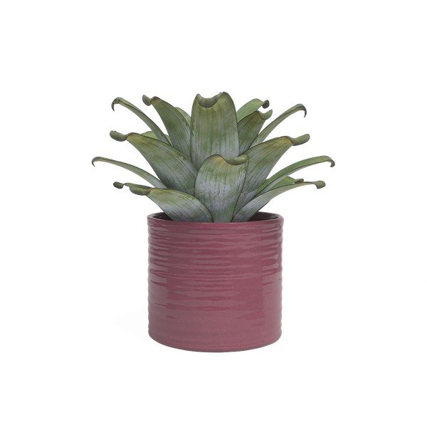 Keramička ručno rađena ukrasna tegla za cvijeće ø 25 cm Fortuna – Artevasi