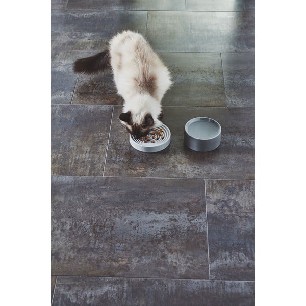 Porculanska zdjela za hranu za ljubimce za mačke ø 14 cm Fresco Concrete S – MiaCara-image-4