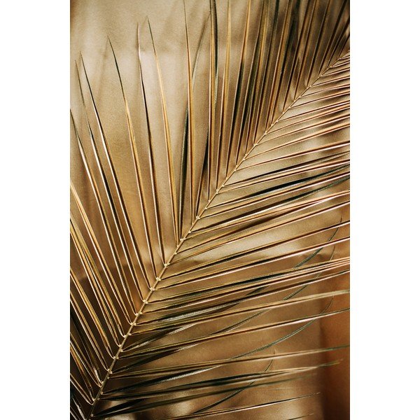 Tiskana staklena slika 80x120 cm Gold Palm  – Styler