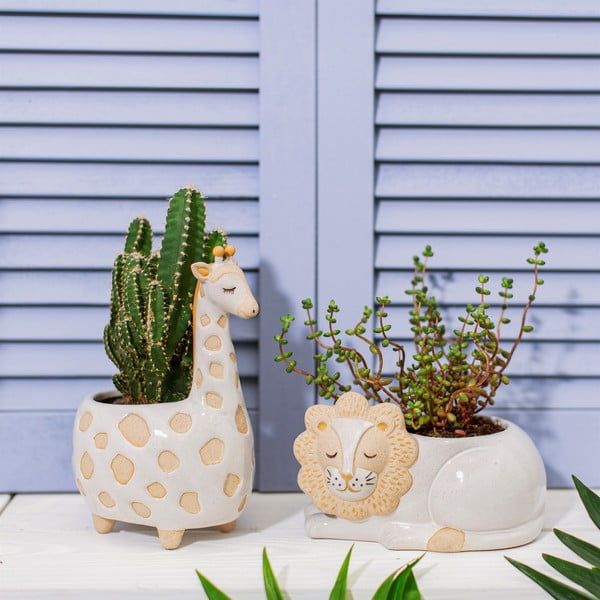 Bijela lončanica Sass & Belle Leo Lion, Ø 7 cm-image-1