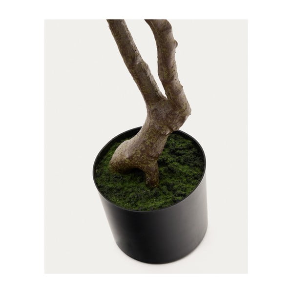 Umjetna biljka (visina 180 cm) Pachira – Kave Home-image-3