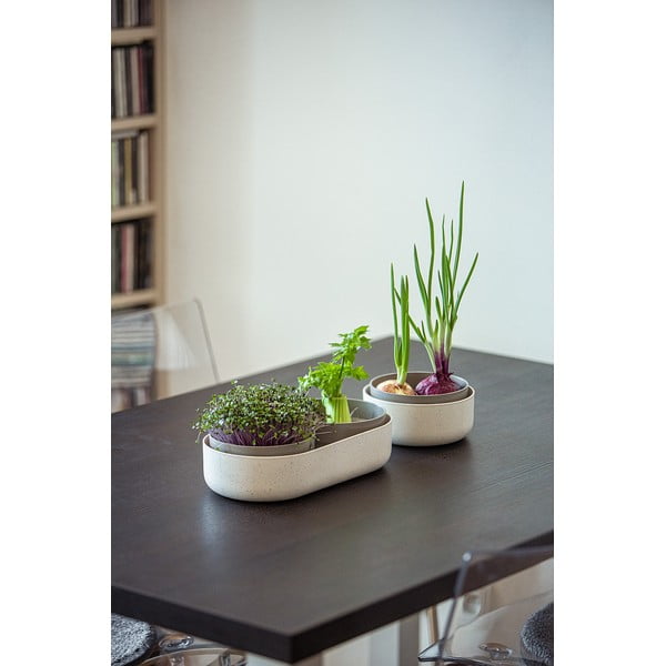 Posuda za klijanje, ø 16 cm Regrow - Plastia-image-3