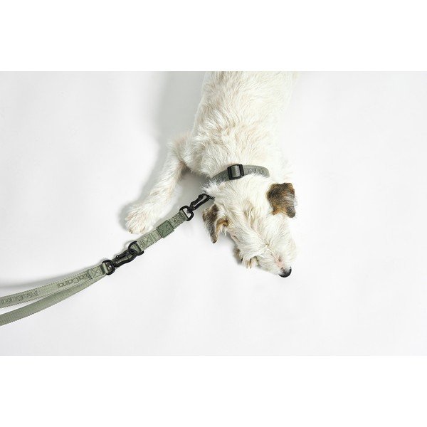 Zeleni ogrlica S/M dužina 32 cm Modena Grolive S/SM – MiaCara-image-3