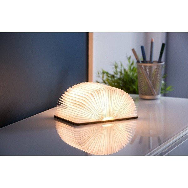 Smeđi svjetlosni ukras s USB Booklight – Gingko-image-1