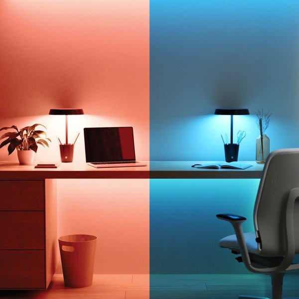 Mat crna LED stolna lampa (visina 31 cm) Cup – Umbra-image-1