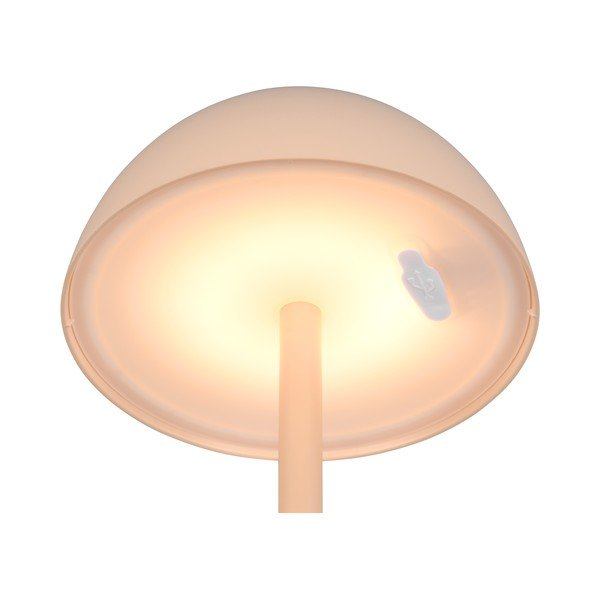 Vanjska svjetiljka s mogućnosti zatamnjivanja ø 13,5 cm Ricardo – Trio-image-3