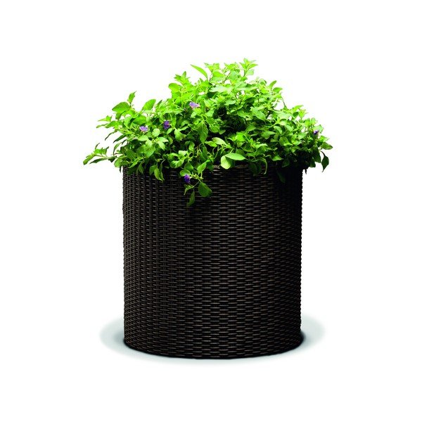 Smeđa tegla za cvijeće Keter Planter, ø 35 cm-image-1