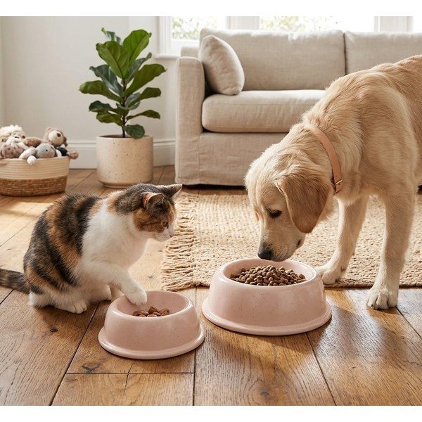 Zdjela za hranu za ljubimce od kamenine za kućne ljubimce ø 16 cm – Casafina-image-1