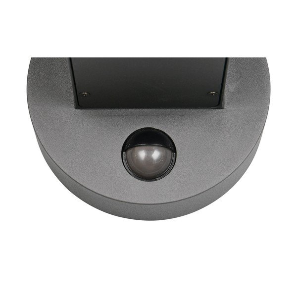 Zidna vanjska svjetiljka (visina 24,5 cm) Fraser – Trio-image-3