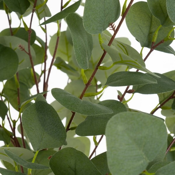 Umjetna biljka Eucalyptus – Casa Selección-image-1