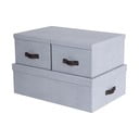 Svijetlo sive kartonske kutije za pohranu u setu  3 kom s poklopcem 31x47x15 cm Inge – Bigso Box of Sweden