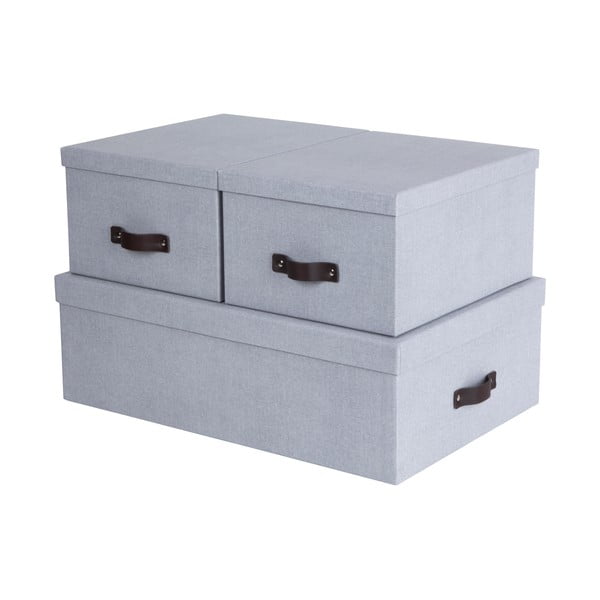 Svijetlo sive kartonske kutije za pohranu u setu  3 kom s poklopcem 31x47x15 cm Inge – Bigso Box of Sweden