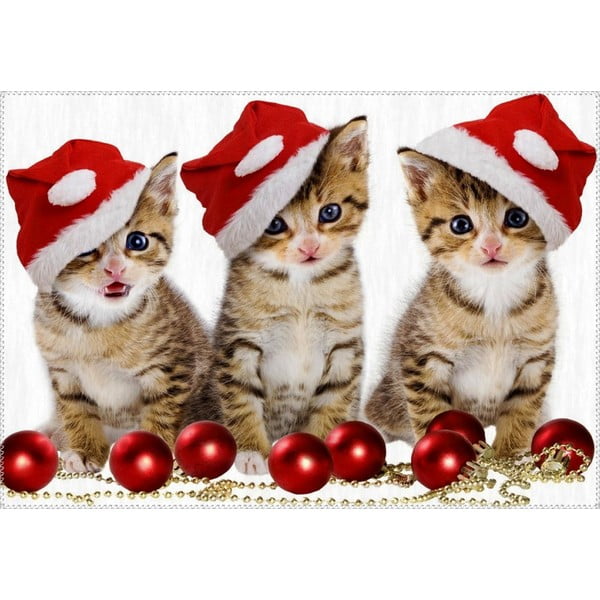 Tepih Vitaus Božićno razdoblje Tri mačke, 50 x 80 cm