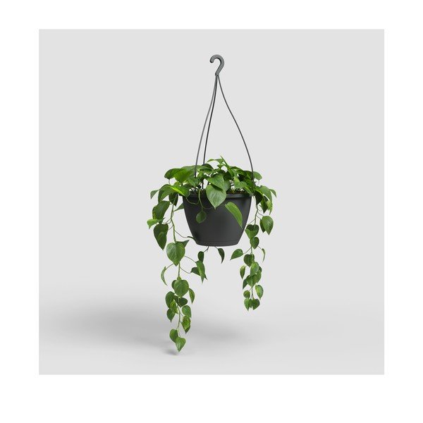 Plastična posuda za cvijeće ø 31 cm Algarve – Artevasi-image-4