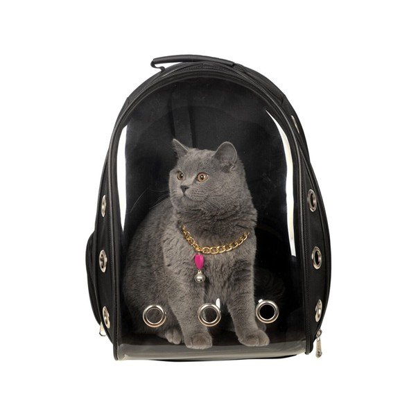 Prozirni transporter 42x33 cm - Lydia&Co