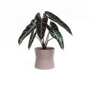 Keramička tegla za cvijeće ø 14 cm Diana – Artevasi