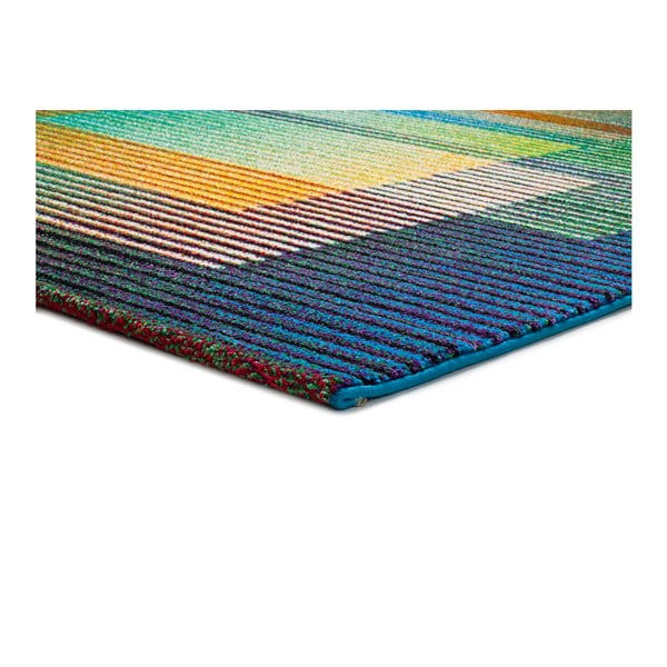 Tepih Universal Gio Asombroso, 120 x 170 cm-image-2