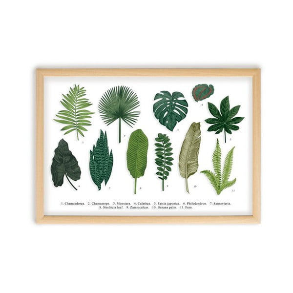 Slika s okvirom od borovog drva Surdic Leafes Guide, 50 x 70 cm