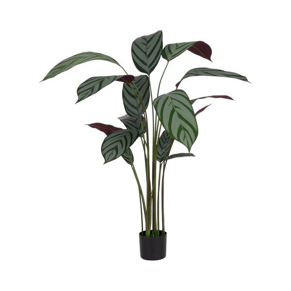 Umjetna biljka (visina 150 cm) Calathea – Ixia