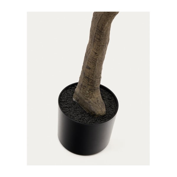 Umjetni fikus (visina 210 cm) Ficus – Kave Home-image-3
