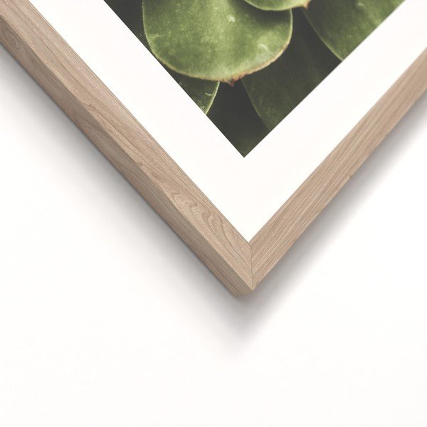 Tiskane slike u setu 2 kom s okvirom 30x40 cm Beauty Green – Styler-image-3