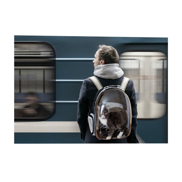 Transporter za kućne ljubimce 28x33 cm – Love Story-image-3