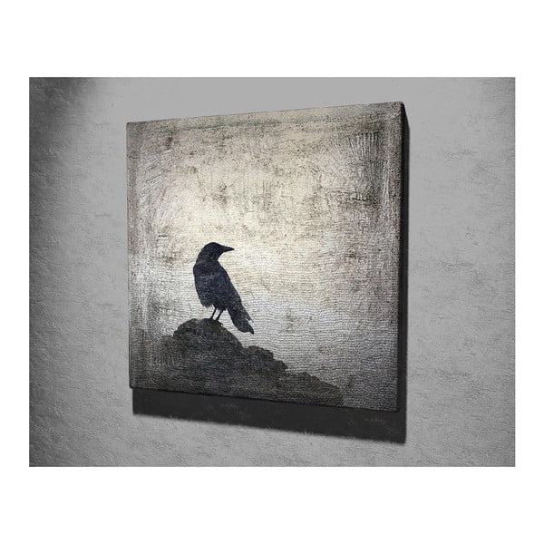 Zidna slika na platnu Black Bird, 45 x 45 cm-image-2