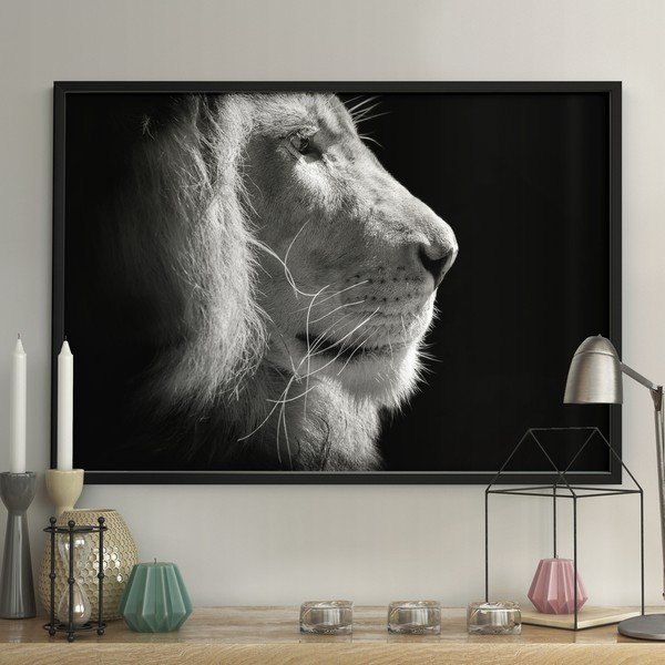 Crno-bijeli poster DecoKing Lion King, 50 x 40 cm-image-1