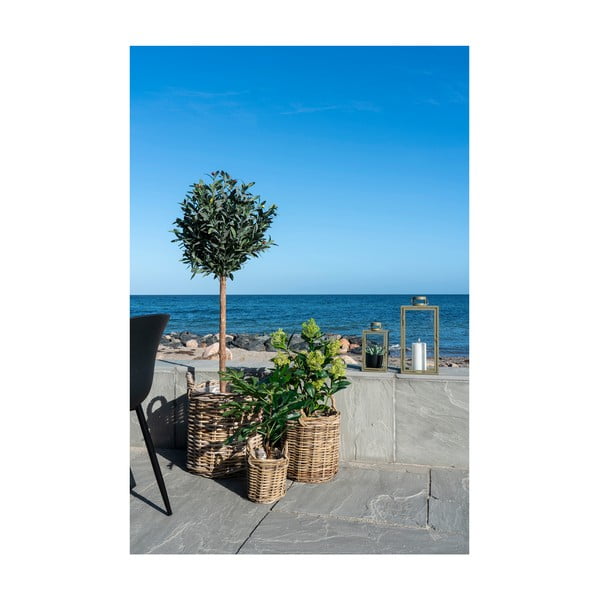 Umjetna biljka (visina 60 cm) Fig – House Nordic-image-3