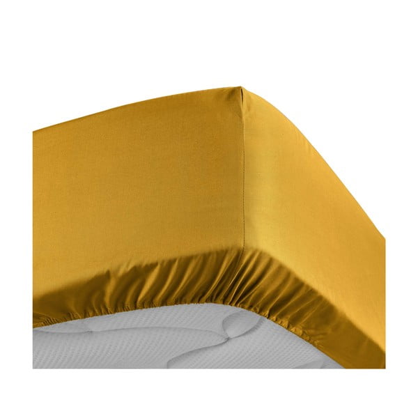 Žuta  plahta s gumom od pamučnog perkala 180x200 cm Percaline – douceur d'intérieur-image-3