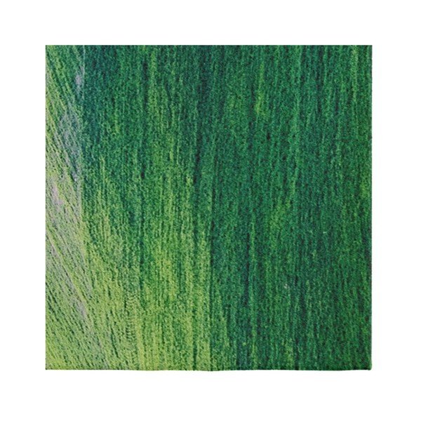 Zeleni tepih Oyo home Suzzo Garto, 80 x 150 cm-image-1