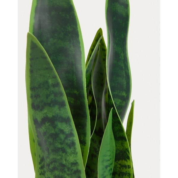 Umjetna biljka (visina 55 cm) Sansevieria – Kave Home-image-3