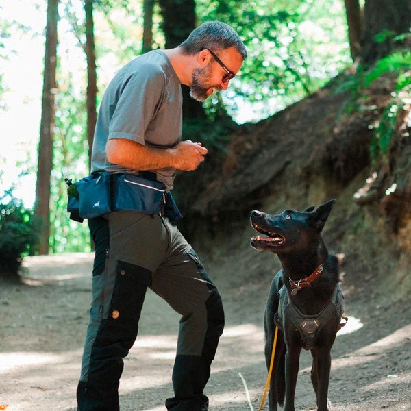 Pojas za psa Explorer Pack Waterfall - P.L.A.Y.-image-1